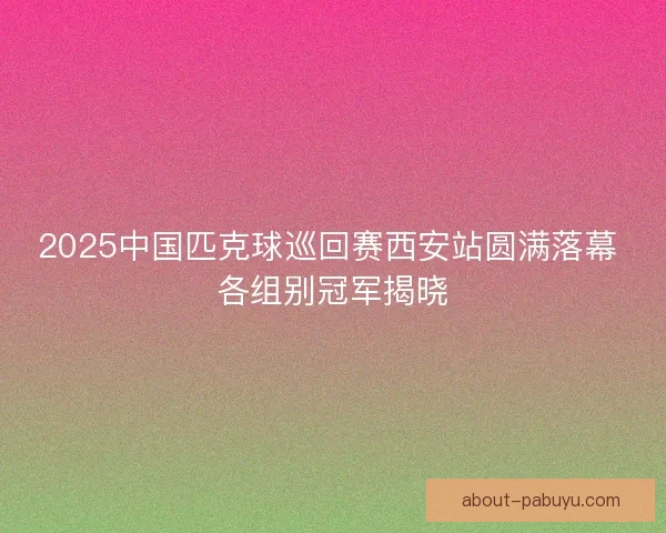 2025中国匹克球巡回赛西安站圆满落幕 各组别冠军揭晓